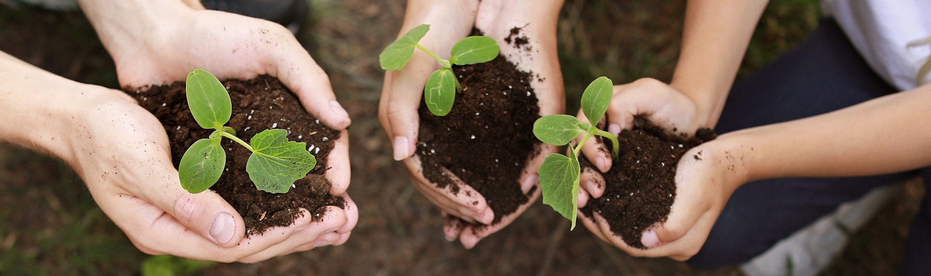 Lutte contre les changements climatiques banniere